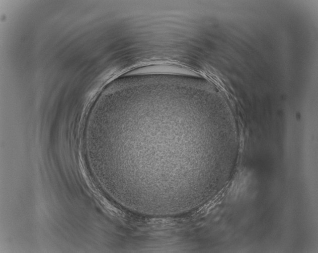 X0000063450145200601271548