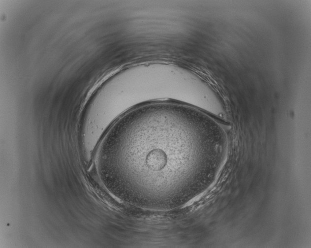 X0000063450146200601271548