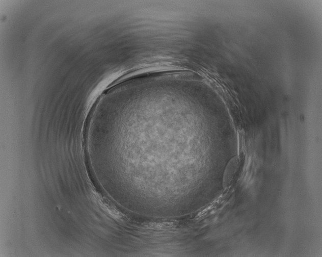 X0000063450147200601271548