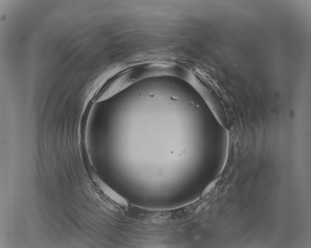 X0000063450148200601271548