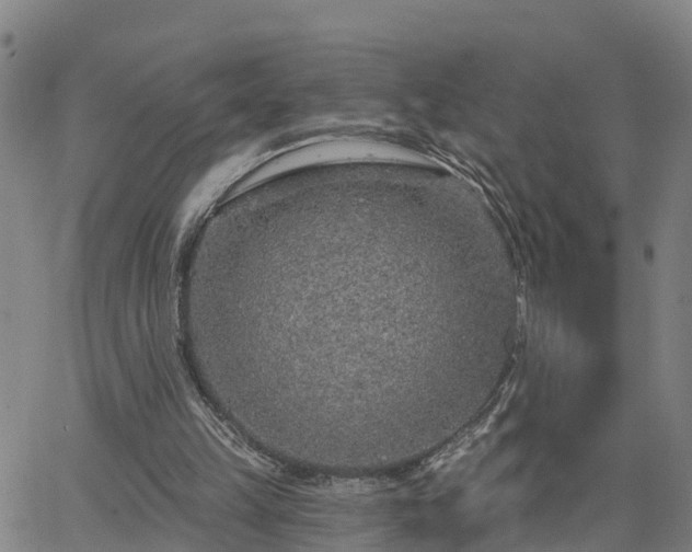 X0000063450149200601271548