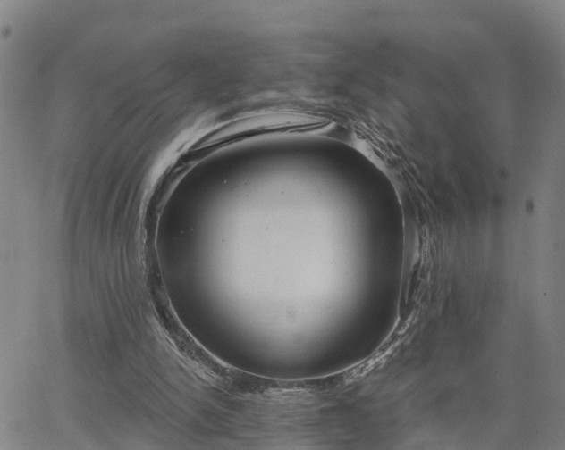 X0000063450150200601271548