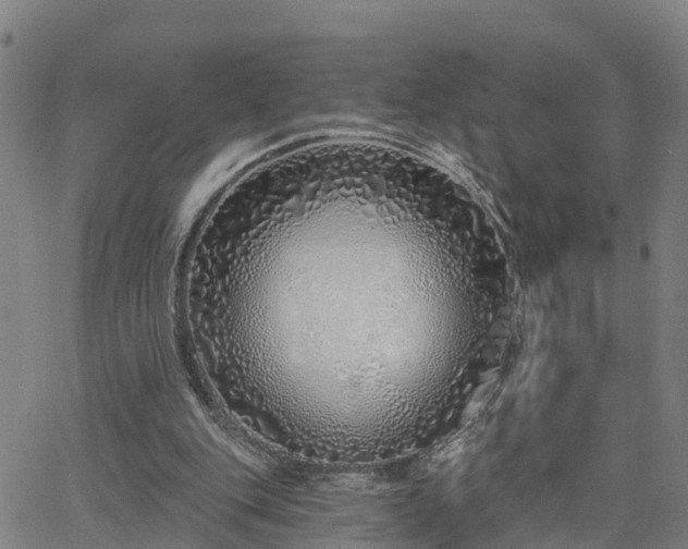 X0000063450151200601271548