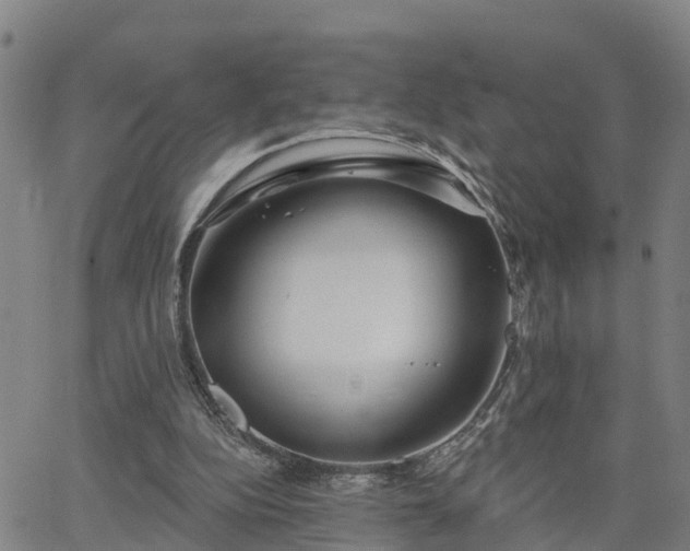 X0000063450152200601271548