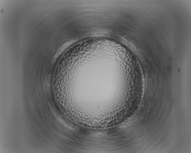 X0000063450155200601271548