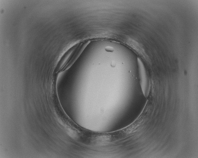 X0000063450156200601271548