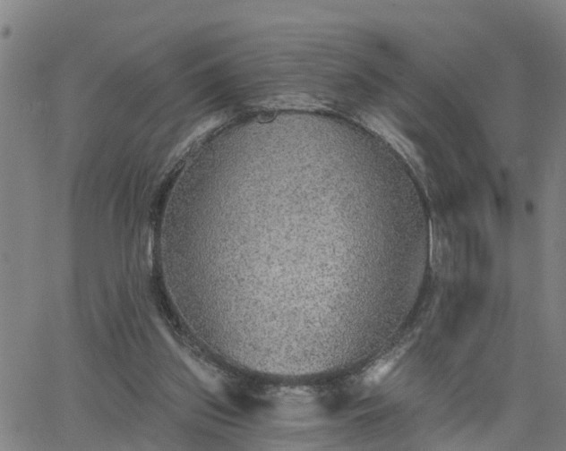 X0000063450157200601271548