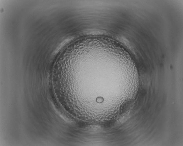 X0000063450159200601271548