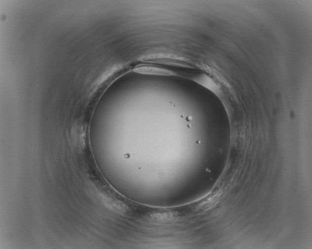 X0000063450160200601271548