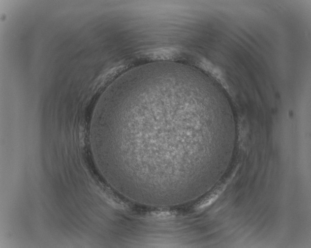 X0000063450161200601271548