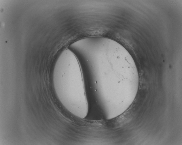 X0000063450162200601271548