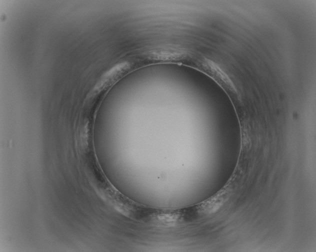 X0000063450163200601271548