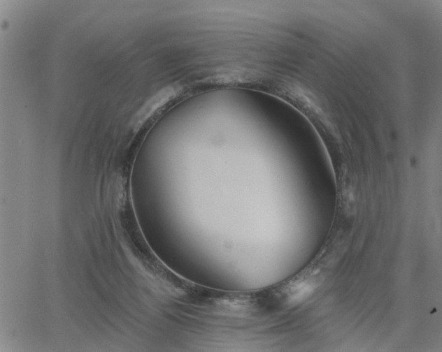 X0000063450164200601271548