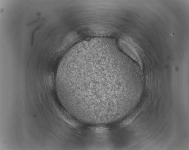 X0000063450165200601271548