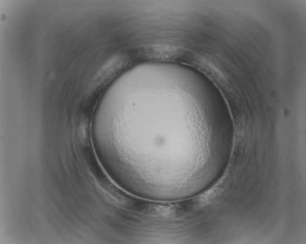 X0000063450166200601271548