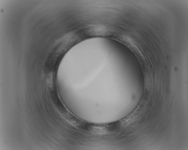 X0000063450167200601271548