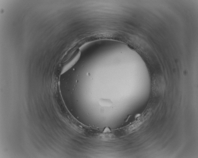 X0000063450168200601271548