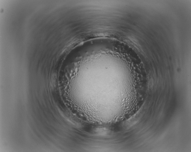 X0000063450171200601271548