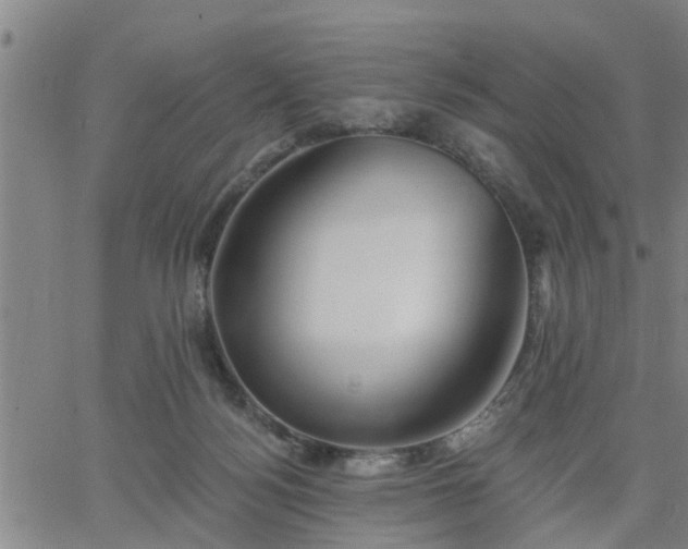 X0000063450172200601271548