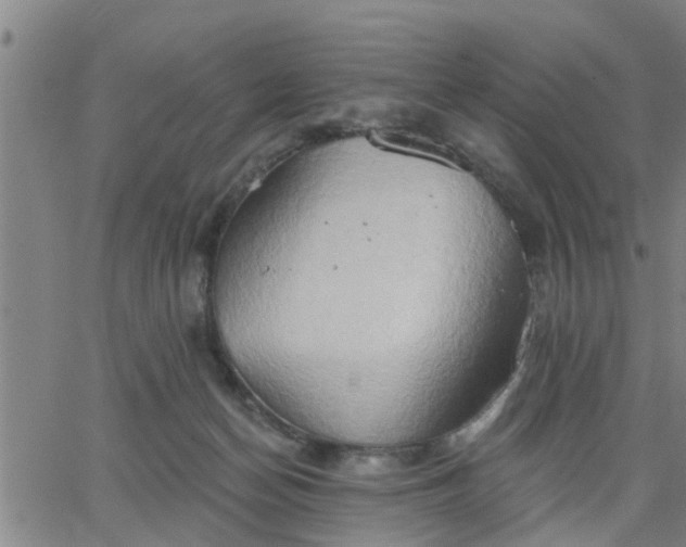 X0000063450174200601271548