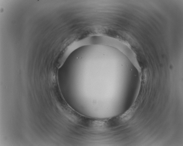 X0000063450176200601271548