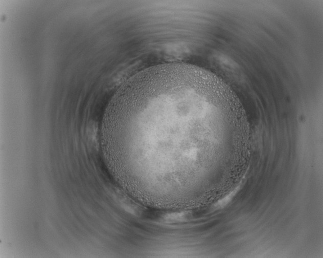 X0000063450178200601271548