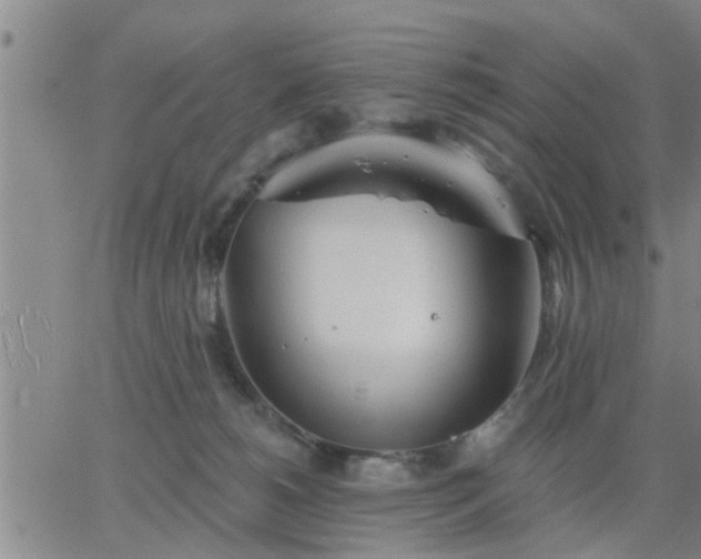 X0000063450180200601271548