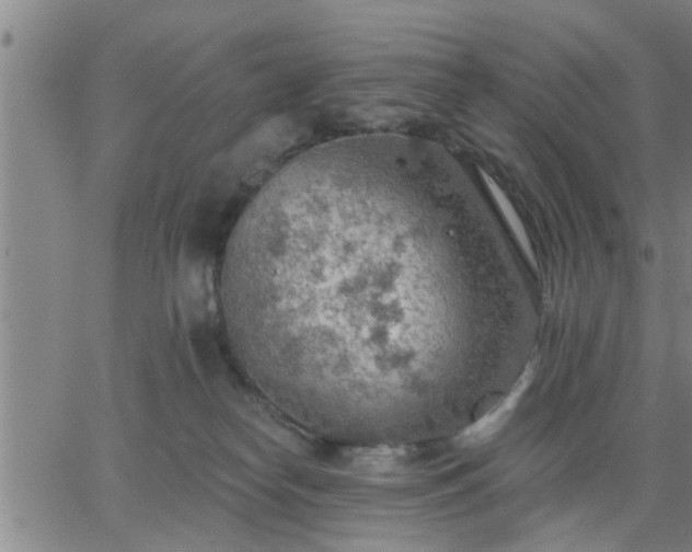 X0000063450182200601271548