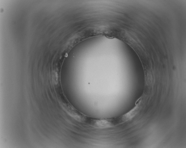 X0000063450183200601271548