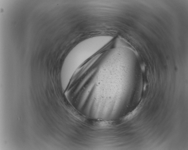 X0000063450184200601271548