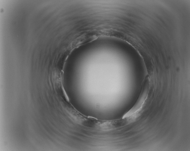 X0000063450186200601271548