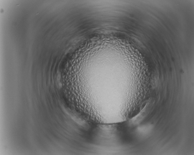 X0000063450187200601271548