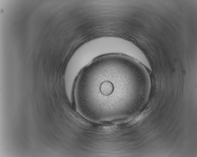 X0000063450188200601271548