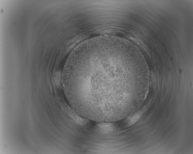 X0000063450189200601271548