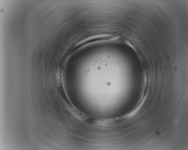 X0000063450190200601271548