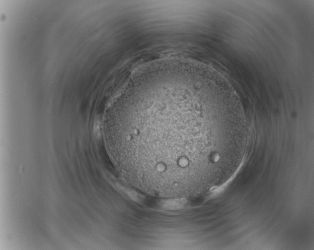 X0000063450191200601271548