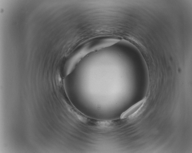 X0000063450192200601271548