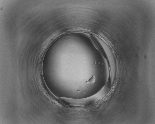 X0000063450193200601271547