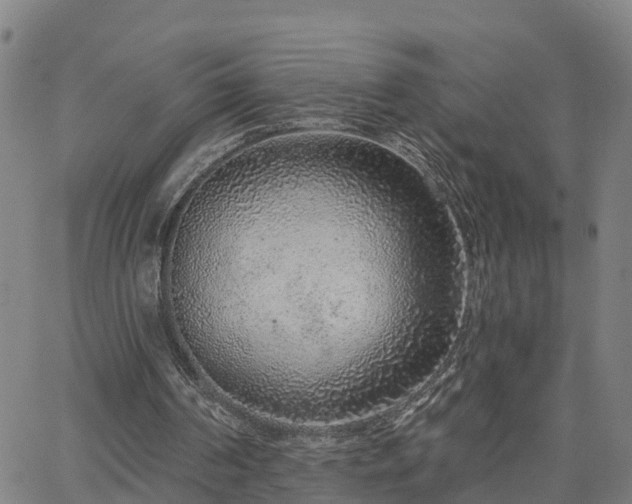 X0000063450194200601271547