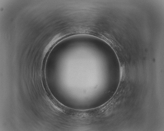 X0000063450195200601271547