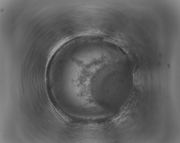 X0000063450196200601271547