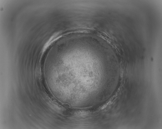 X0000063450198200601271547