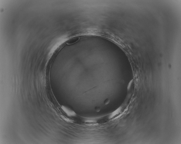 X0000063450200200601271547