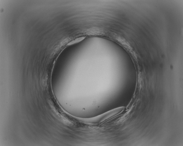 X0000063450201200601271547