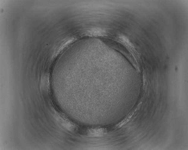 X0000063450202200601271547