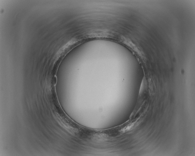 X0000063450203200601271547