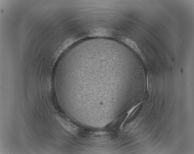 X0000063450204200601271547