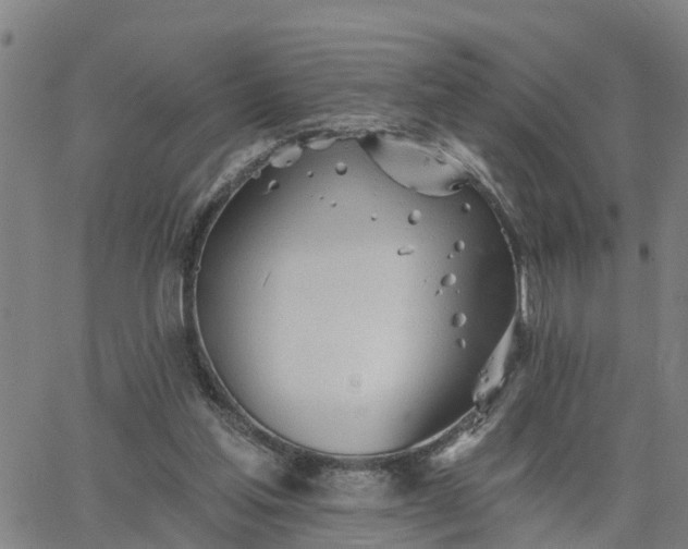 X0000063450205200601271547