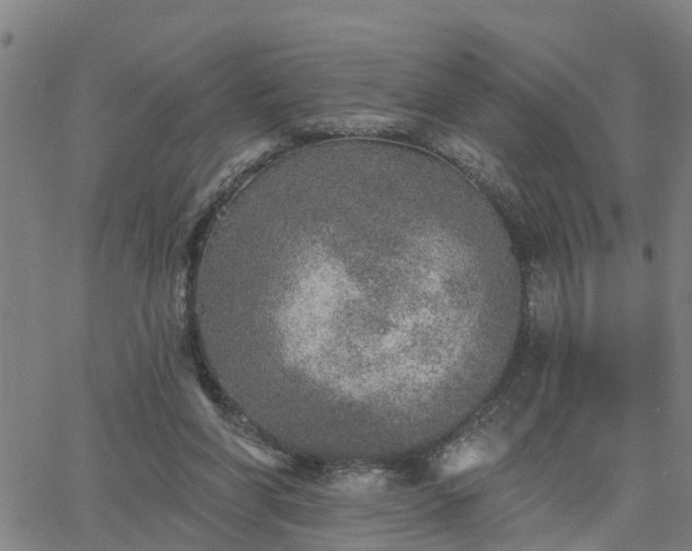 X0000063450206200601271547