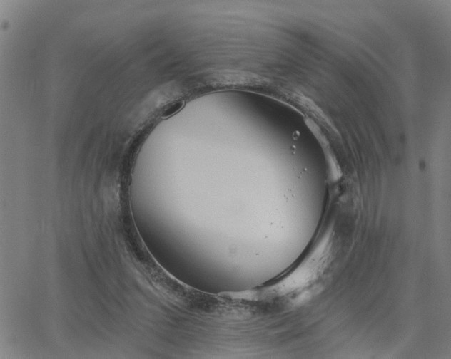 X0000063450207200601271547